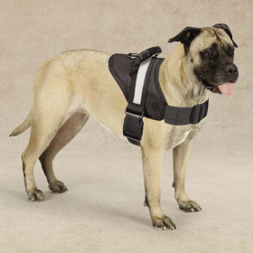 Guardian Gear Excursion Dog Harness – Medium (20–28 Inch Chest)
