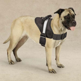 Guardian Gear Excursion Dog Harness – Large (26–36 Inch Chest)