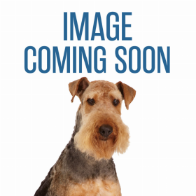 Boss Pet Products Bearing Tie-Out Stake