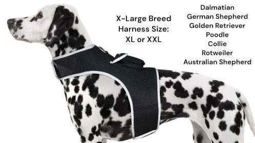 Mini Waterproof GPS Tracker for Dog Collar w/ Perimeter Fencing System Size:XS