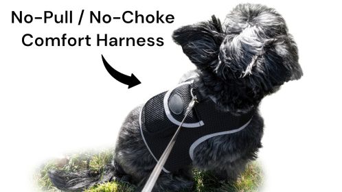 NEW Pet Tracker Portable Pet Tracking Best Dog GPS GSM Geo-Fencing Tracker Size:XL