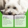 Yegbong Dog Dietary Supplement - Promote Pet Health, Dog-Specific Dietary Nutritional Supplement