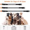 USB Rechargeable LED Dog Collar With Adjustable Fit