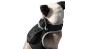 NEW Pet Tracker Portable Pet Tracking Best Dog GPS GSM Geo-Fencing Tracker Size:S