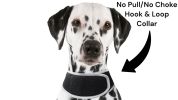 NEW Pet Tracker Portable Pet Tracking Best Dog GPS GSM Geo-Fencing Tracker Size:XL