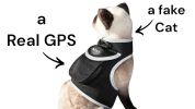 Reputable Water Resilient GPS Tag for Dogs Rechargeable Collar Mount GSM Tracker Size:L