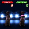 USB Rechargeable LED Dog Collar With Adjustable Fit
