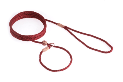 Nylon Slip Lead With Stopper (6 ft  x 1/8in or 4mm) (Color: White Nylon, size: 6 ft  x 1/8in or 4mm)