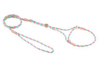 Nylon Martingale Leads (8in x 1/8in or 4mm) (Color: White, size: 8in x 1/8in or 4mm)