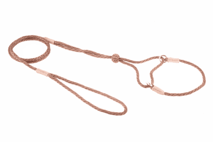Nylon Martingale Leads (8in x 1/8in or 4mm) (Color: Turquoise, size: 8in x 1/8in or 4mm)