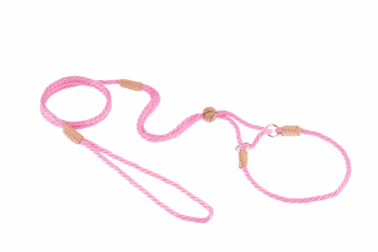 Nylon Martingale Leads (10in x 1/8in or 4mm) (Color: Peach, size: 10in x 1/8in or 4mm)