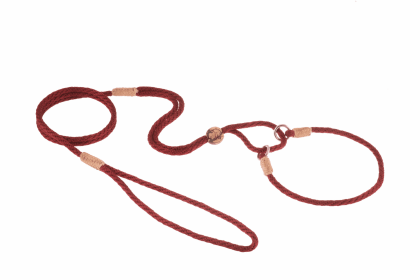Nylon Martingale Leads (10in x 1/8in or 4mm) (Color: Gold, size: 10in x 1/8in or 4mm)