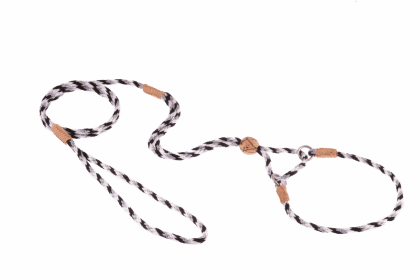 Nylon Martingale Leads (10in x 1/8in or 4mm) (Color: Red, size: 10in x 1/8in or 4mm)