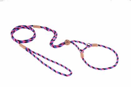 Nylon Martingale Leads (10in x 1/8in or 4mm) (Color: Wild Rose, size: 10in x 1/8in or 4mm)