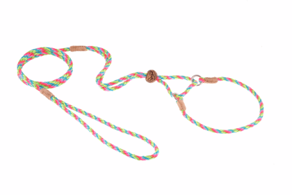Nylon Martingale Leads (10in x 1/8in or 4mm) (Color: Purple, size: 10in x 1/8in or 4mm)