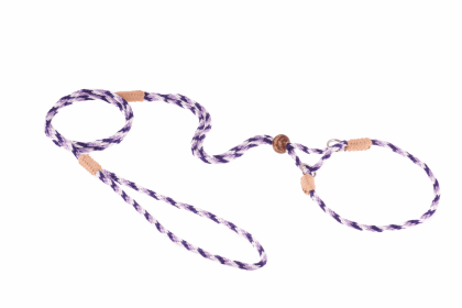Nylon Martingale Leads (10in x 1/8in or 4mm) (Color: Teal Green, size: 10in x 1/8in or 4mm)