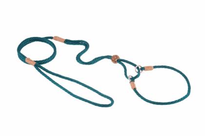 Nylon Martingale Leads (10in x 1/8in or 4mm) (Color: Light Camel, size: 10in x 1/8in or 4mm)