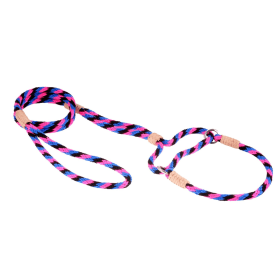 Nylon Martingale Leads (10in x 1/4in or 6mm) (Color: HOT PINK, size: 10in x 1/4in or 6mm)