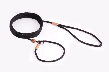 Nylon Slip Lead With Stopper (6 ft  x 1/8in or 4mm) (Color: Pine Green, size: 6 ft  x 1/8in or 4mm)