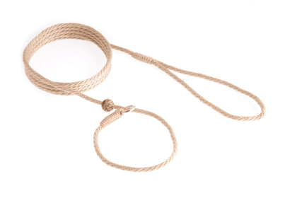 Nylon Slip Lead With Stopper (6 ft  x 1/8in or 4mm) (Color: HOT PINK, size: 6 ft  x 1/8in or 4mm)