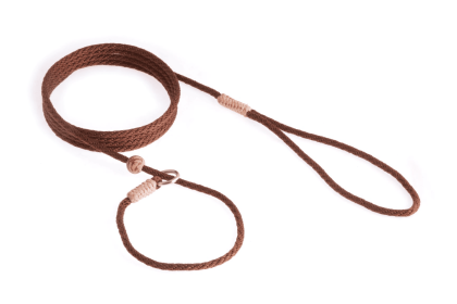 Nylon Slip Lead With Stopper (6 ft  x 1/8in or 4mm) (Color: Hunter Green / Gold, size: 6 ft  x 1/8in or 4mm)