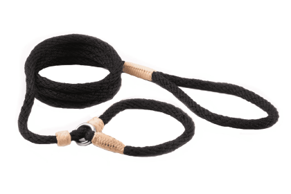 Nylon Slip Leash With 2 Stoppers (6ft  x 5/16in or 8mm) (Color: Pine Green, size: 6ft  x 5/16in or 8mm)