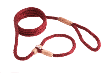 Nylon Slip Leash With 2 Stoppers (6ft  x 5/16in or 8mm) (Color: White Nylon, size: 6ft  x 5/16in or 8mm)