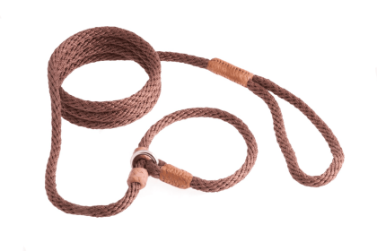 Nylon Slip Leash With 2 Stoppers (6ft  x 5/16in or 8mm) (Color: Hunter Green / Gold, size: 6ft  x 5/16in or 8mm)