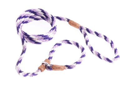 Nylon Slip Leash With 2 Stoppers (6ft  x 5/16in or 8mm) (Color: Teal Green, size: 6ft  x 5/16in or 8mm)