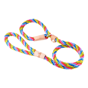 Sport Slip Lead With Stopper (6 ft  x 5/16in or 8mm) (Color: Multineon, size: 6 ft  x 5/16in or 8mm)