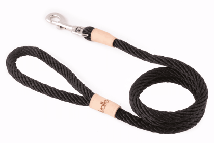 Sport Snap Lead (4 ft  x 1/2in or 13mm) (Color: Black, size: 4 ft  x 1/2in or 13mm)