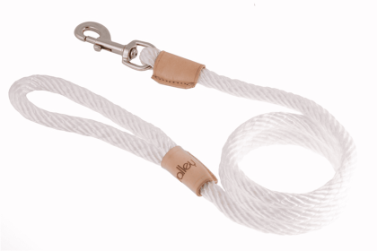 Sport Snap Lead (4 ft  x 1/2in or 13mm) (Color: White, size: 4 ft  x 1/2in or 13mm)