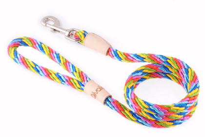Sport Snap Lead (4 ft  x 1/2in or 13mm) (Color: Multineon, size: 4 ft  x 1/2in or 13mm)
