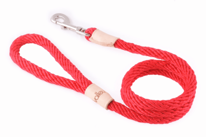 Sport Snap Lead (4 ft  x 1/2in or 13mm) (Color: Red, size: 4 ft  x 1/2in or 13mm)