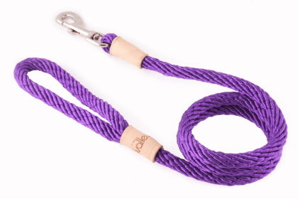 Sport Snap Lead (4 ft  x 1/2in or 13mm) (Color: Purple, size: 4 ft  x 1/2in or 13mm)