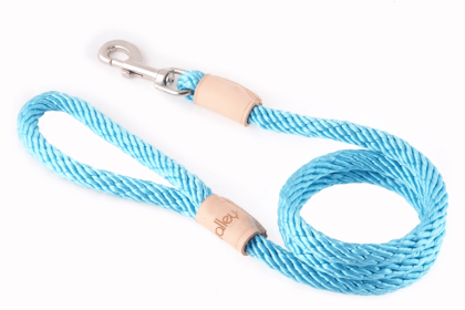 Sport Snap Lead (4 ft  x 1/2in or 13mm) (Color: Turquoise, size: 4 ft  x 1/2in or 13mm)