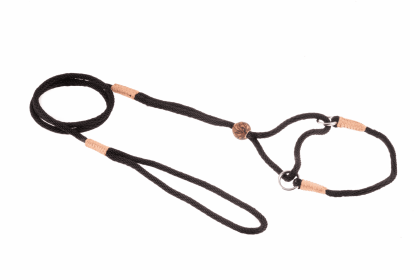 Nylon Martingale Leads (8in x 1/8in or 4mm) (Color: Hunter Green / Gold, size: 8in x 1/8in or 4mm)