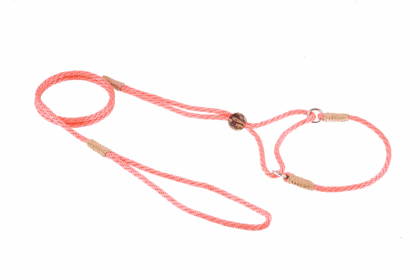 Nylon Martingale Leads (8in x 1/8in or 4mm) (Color: Pine Green, size: 8in x 1/8in or 4mm)