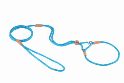Nylon Martingale Leads (10in x 1/8in or 4mm) (Color: Multineon, size: 10in x 1/8in or 4mm)