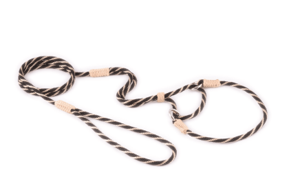Nylon Martingale Leads (10in x 1/8in or 4mm) (Color: Turquoise, size: 10in x 1/8in or 4mm)