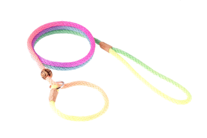 Nylon Slip Lead With Stopper (6 ft  x 1/8in or 4mm) (Color: Gold / Hunter Green, size: 6 ft  x 1/8in or 4mm)