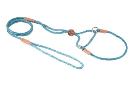 Nylon Martingale Leads (10in x 1/8in or 4mm) (Color: Black - Pink - Blue, size: 10in x 1/8in or 4mm)