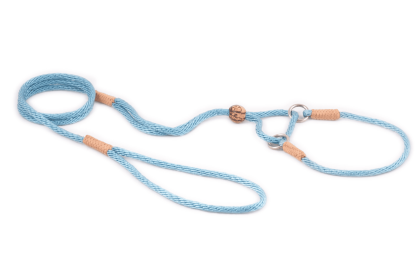 Nylon Martingale Leads (10in x 1/8in or 4mm) (Color: Blue Combination, size: 10in x 1/8in or 4mm)
