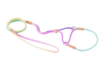 Nylon Martingale Leads (10in x 1/8in or 4mm) (Color: Black Gold, size: 10in x 1/8in or 4mm)