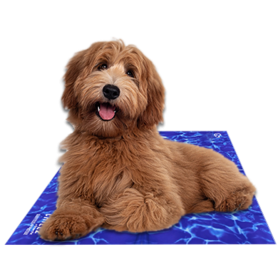 Chillz Cooling Gel Mat for Dogs (Color: Wave, size: large)