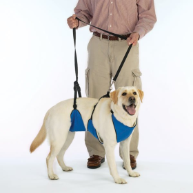 TPH Lift & Lead 4-in-1 Dog Support Harness (Color: Blue, size: XXXL)