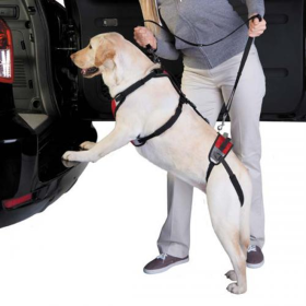 Total Pet Health Lift & Go Dog Support Harness (Color: Red, size: XL)