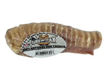 Beef Trachea Bone (Quantity: Individual)