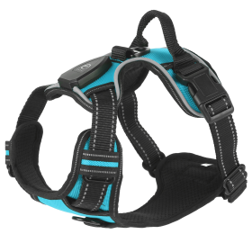 Rechargeable LED Dog Harness- XL (Color: Green, size: M)
