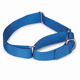 GG Nylon Martingale Collar for Dogs - 10 to 16 Inch - Black (Size-Pack Of: 18-26In-1, Color: Blue)